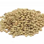Lentilha Canadense - 100g