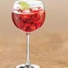 Campari & Tonica
