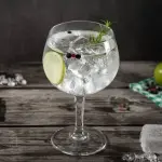 Gin Tonic