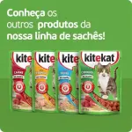Kitekat Sachê Gato 70 gr