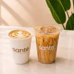 Vainilla Sugar Free Latte