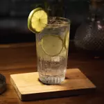 GIN TONIC GORDON´S