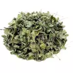 MORINGA FOLHA