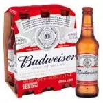 BUDWEISER LONG NECK GELADA 330ML