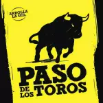 GASEOSA PASO DE LOS TOROS