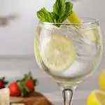 Gin Tônica