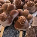 PALETA ROCHER