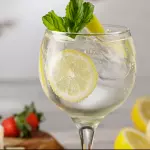 Gin Tônica