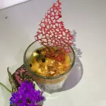 MOUSE DE COCO