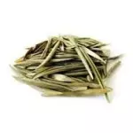 OLIVEIRA