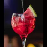 GIN MELANCITA