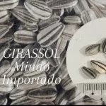 GIRASSOL MIUDO IMPORTADO 1KILO