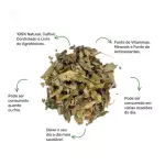 Pulmonaria - 15g