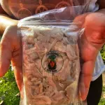 Jaca desfiada 5kg