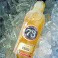 LICOR 73 GARRAFA