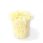 QUESO