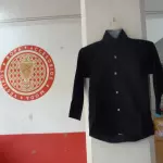 CAMISAS