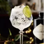 Gin Tonic