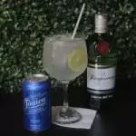 Gin Tônica Tanqueray 🍹
