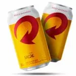 SKOL LATA 350 ML