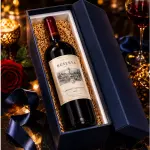Caixa Sapato Premium para Vinhos