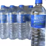 Agua Mineral 600 cc