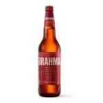 BRAHMA DUPLO MALTE