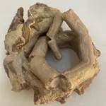 RABO DE RES SALADO
