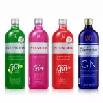 Gin Intencion 900ml