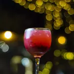 Gin Frutos Rojos