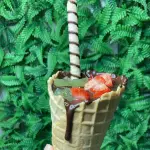 Cone de Fondue