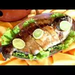 Corvina Pequena