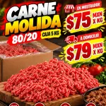 CARNE MOLIDA 80/20 5KG