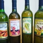 Cachaça de Milho Verde