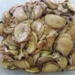 CEVICHE DE GORROS DE MAR