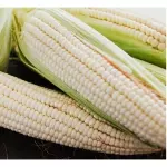 Elote