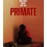 Primate