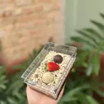 Sobremesa Pavê Sensação