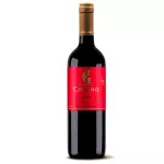 VINHO TINTO CHILENO CHILANO SYRAH