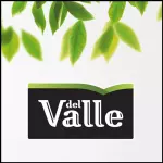 DEL VALLE GOIABA 290 ML LATA