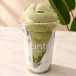 Matcha Madness