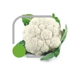 Couve Flor UND