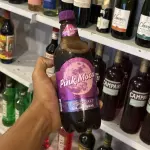 CHOPP DE VINHO PINK MOON 600ML