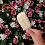 HELADO DE OVO