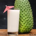 GUANABANA CON LECHE