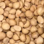 MACADAMIA