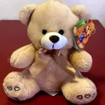 Urso M