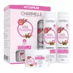 Kit Rosa Mosqueta 3x1 Charmelle