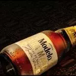 MODELO NEGRA