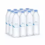 Paquete (12 Botellas de 1 L)